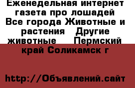 Еженедельная интернет - газета про лошадей - Все города Животные и растения » Другие животные   . Пермский край,Соликамск г.